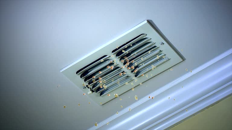 Best Affordable Air Duct Cleaning  in Van Horn, TX